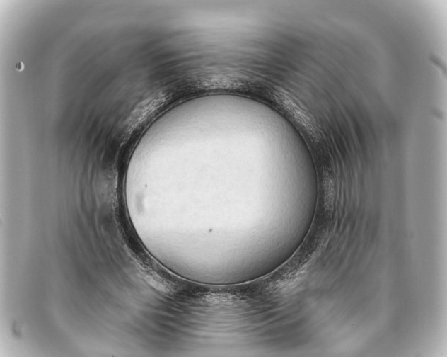 X0000093380490200710251220