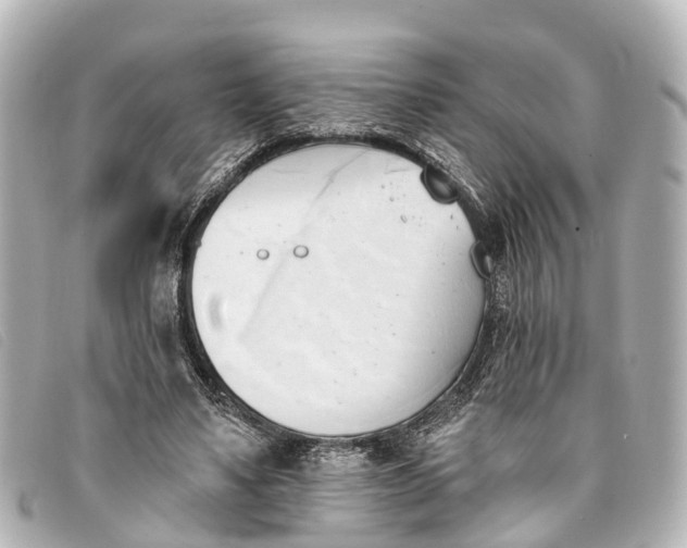 X0000093380491200710251220