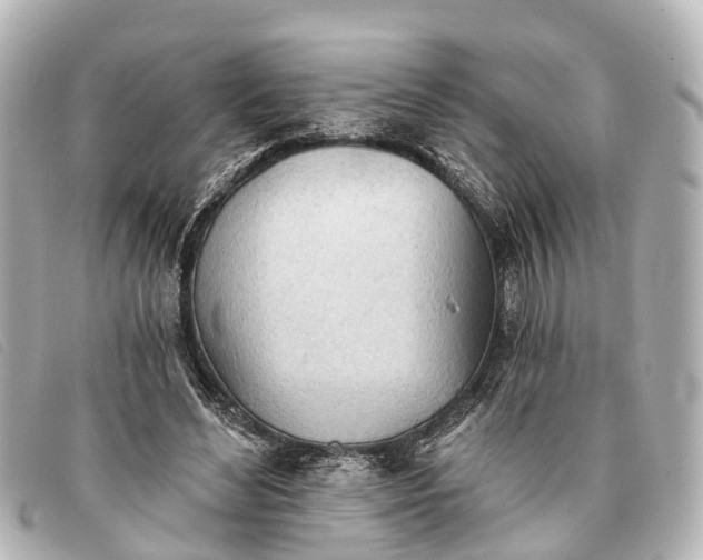 X0000093380492200710251220