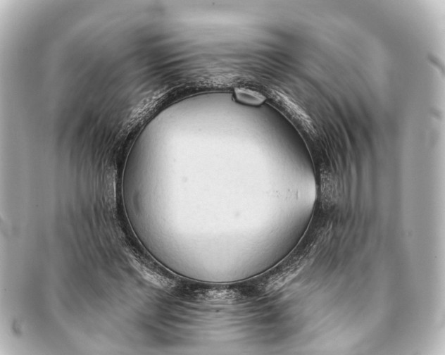 X0000093380493200710251220