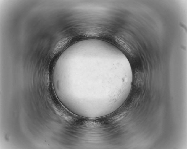 X0000093380494200710251220