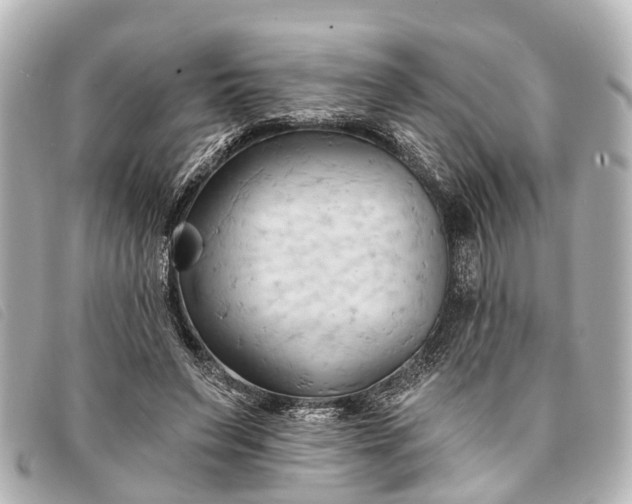 X0000093380495200710251220