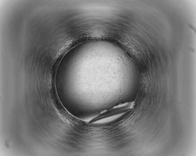 X0000093380496200710251220