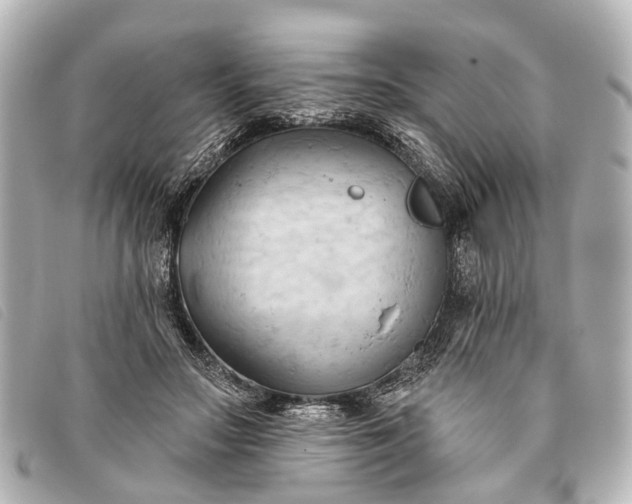 X0000093380499200710251220