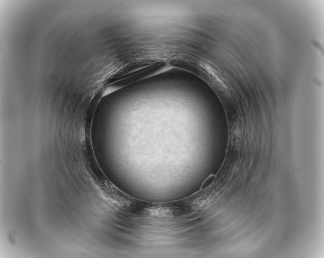 X0000093380500200710251220