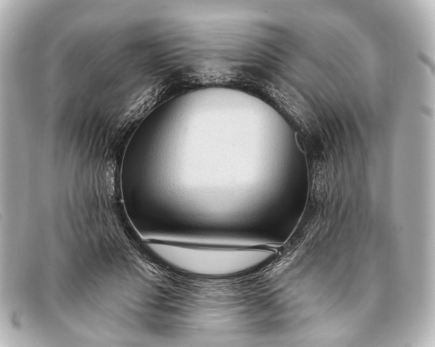 X0000093380501200710251220