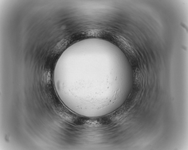 X0000093380502200710251220