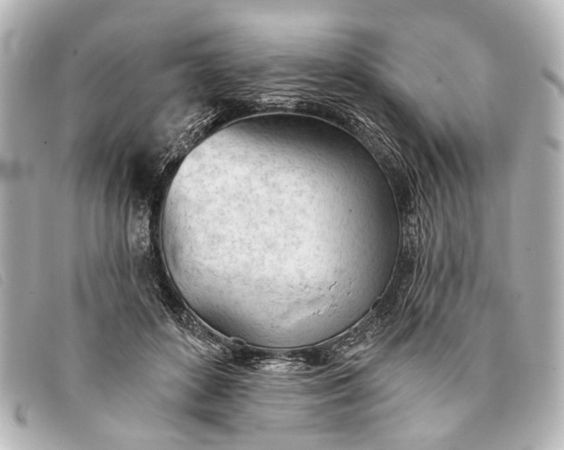 X0000093380504200710251220