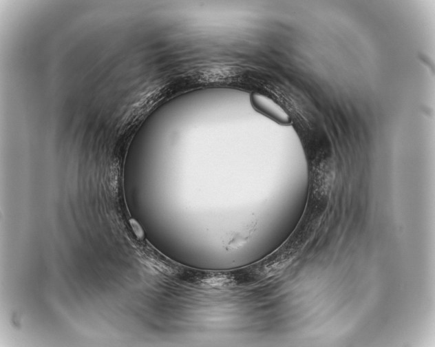 X0000093380505200710251220