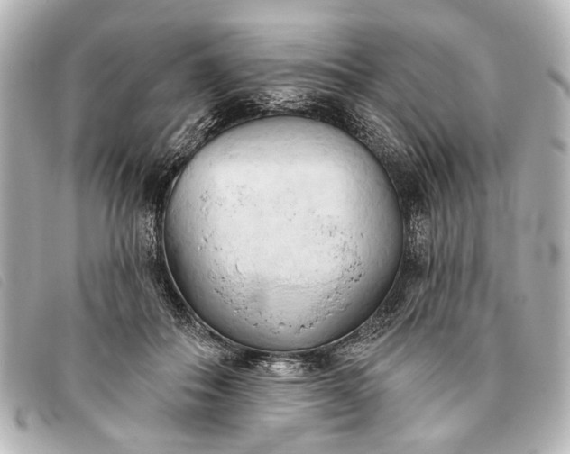 X0000093380506200710251220