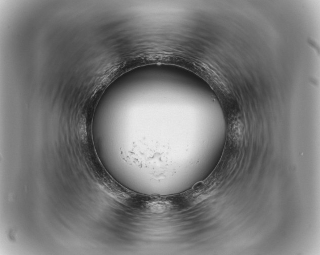 X0000093380508200710251220