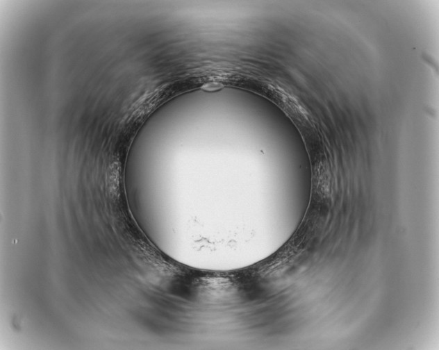 X0000093380509200710251220