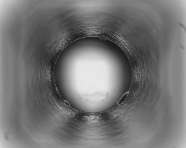 X0000093380512200710251220