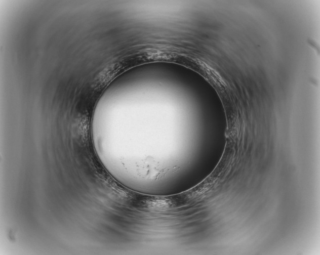 X0000093380513200710251220