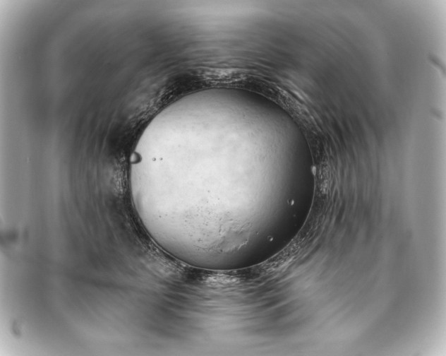 X0000093380515200710251220