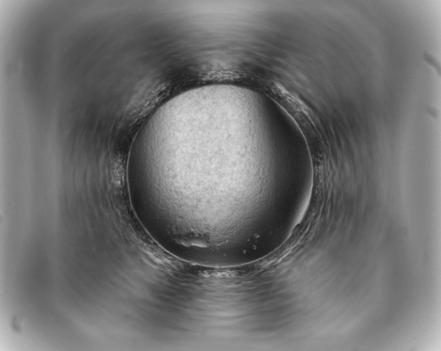 X0000093380517200710251220