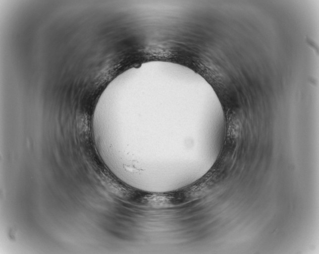 X0000093380518200710251220