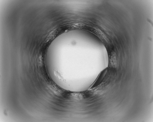 X0000093380520200710251220