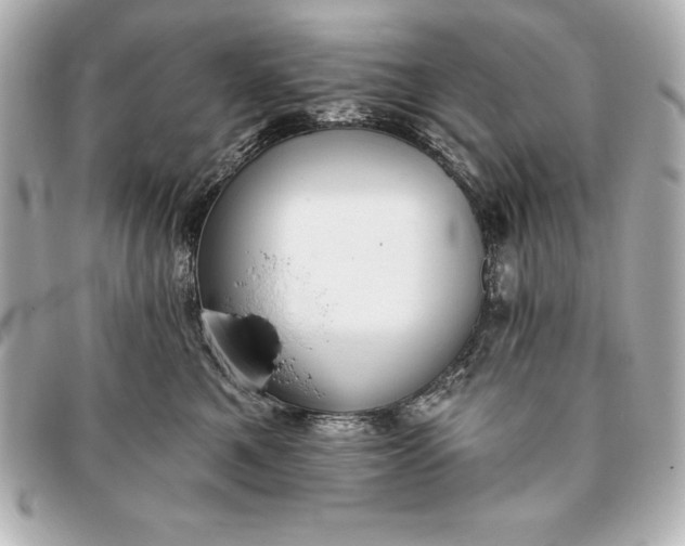 X0000093380521200710251220