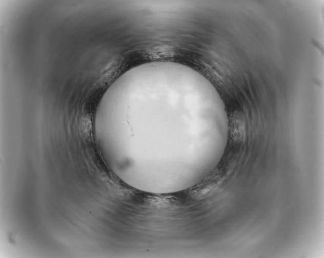 X0000093380523200710251220