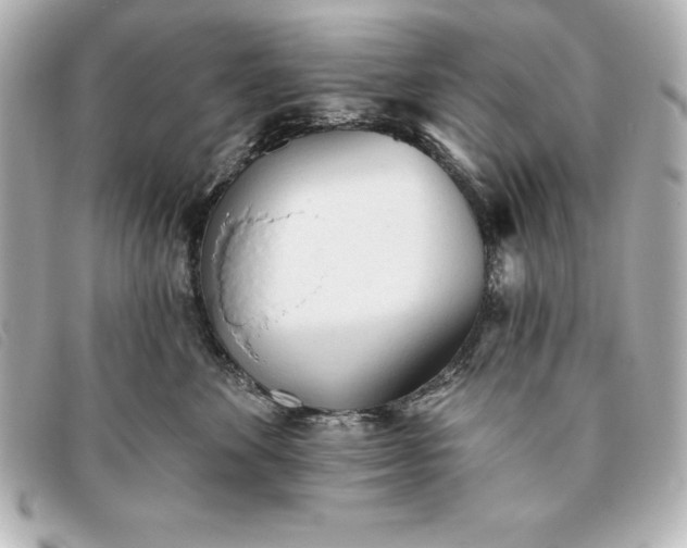 X0000093380524200710251220