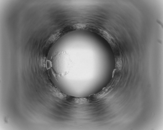 X0000093380525200710251220