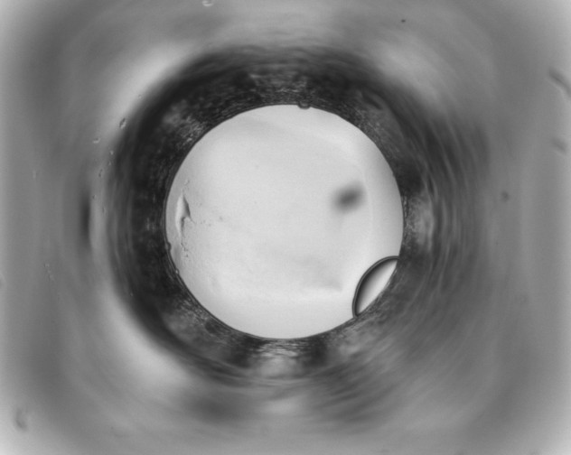 X0000093380526200710251220