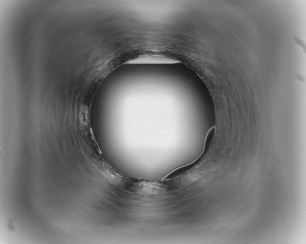 X0000093380528200710251220