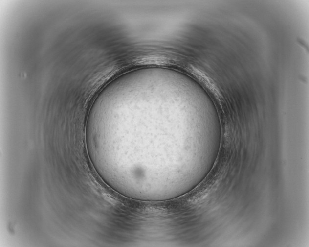 X0000093380529200710251219