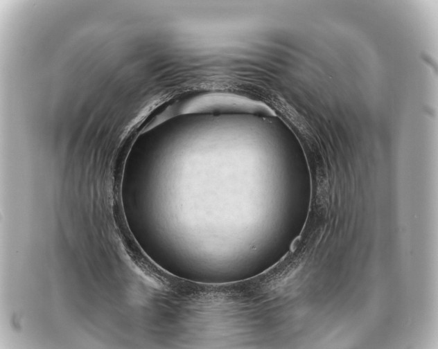 X0000093380530200710251219