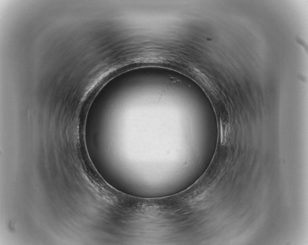 X0000093380531200710251219