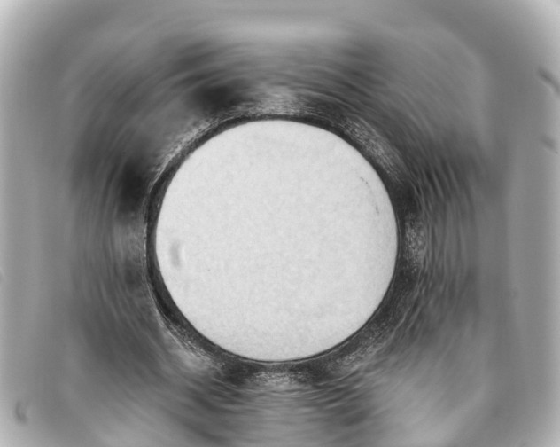 X0000093380534200710251219