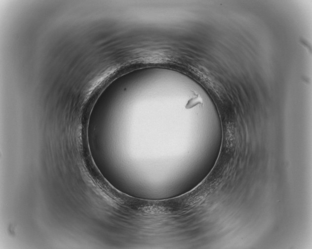 X0000093380535200710251219