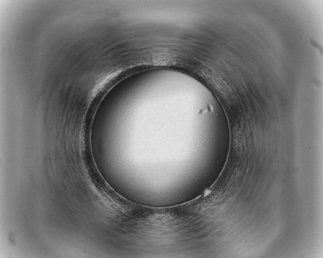 X0000093380536200710251219