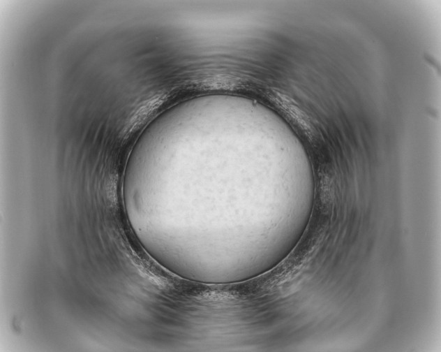 X0000093380537200710251219