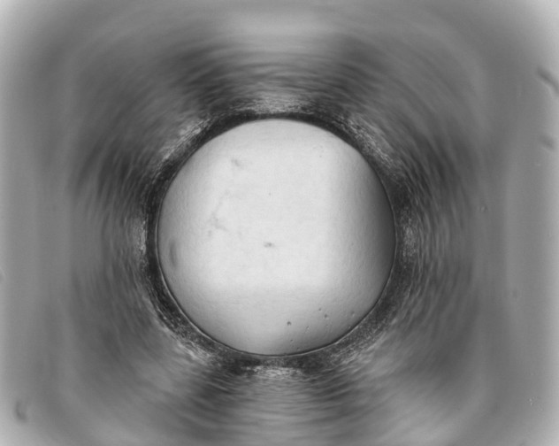 X0000093380539200710251219