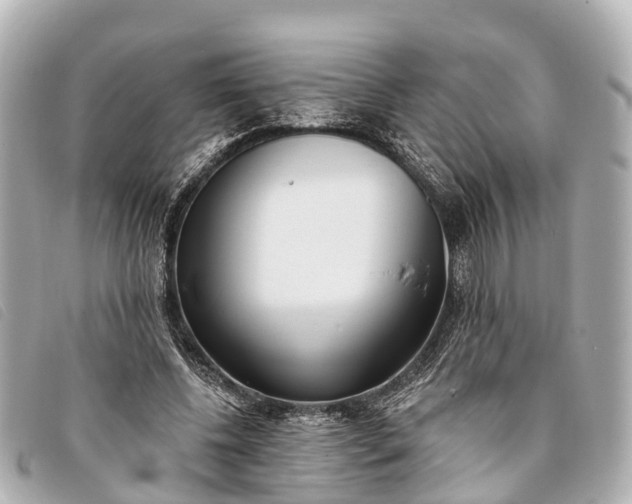 X0000093380540200710251219