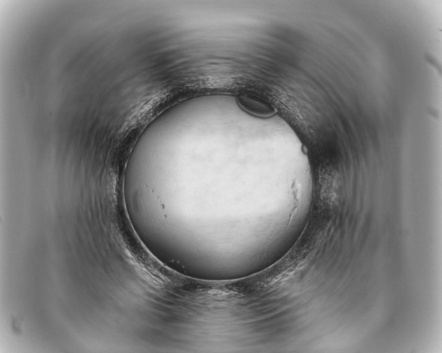 X0000093380542200710251219