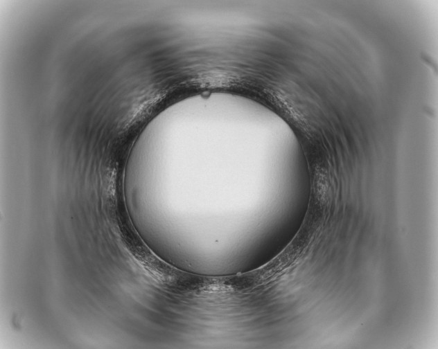 X0000093380543200710251219