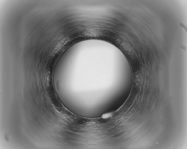 X0000093380544200710251219