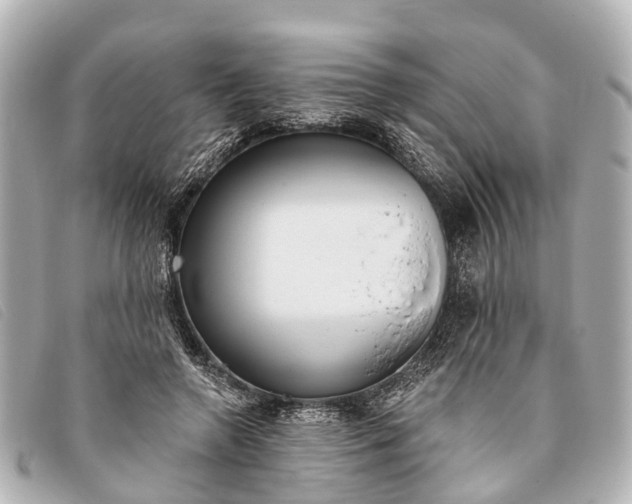 X0000093380546200710251219