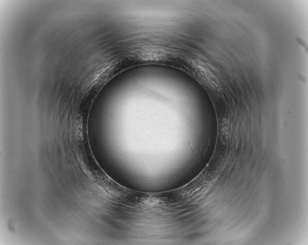 X0000093380547200710251219