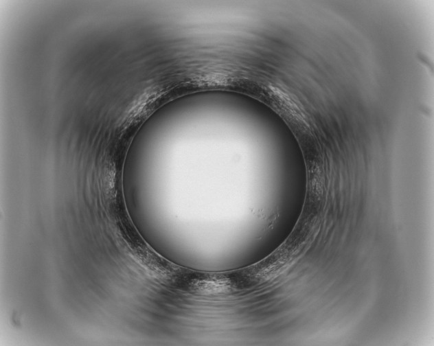 X0000093380548200710251219