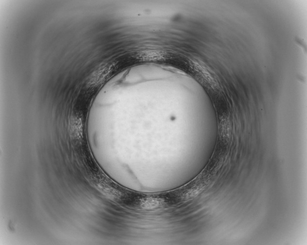 X0000093380549200710251219