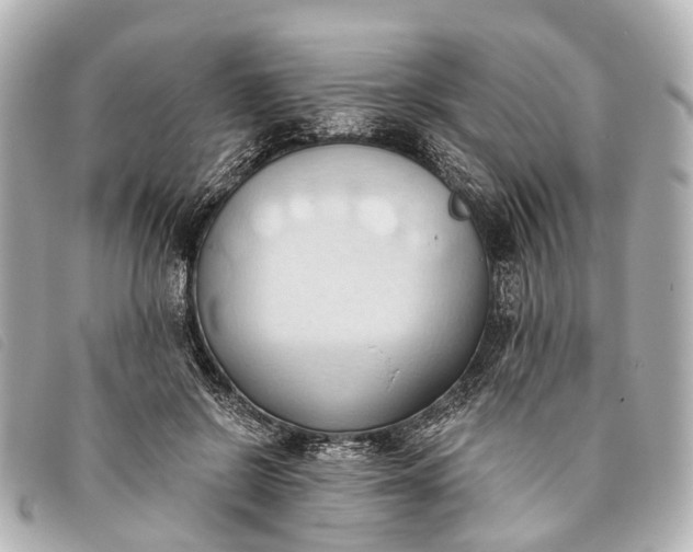 X0000093380550200710251219