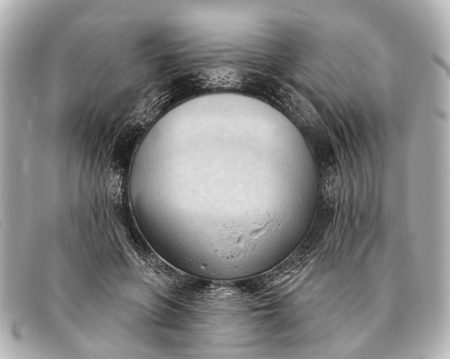 X0000093380551200710251219