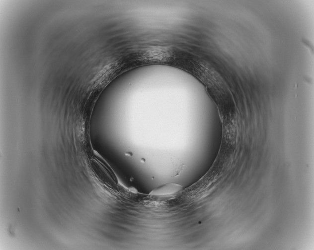 X0000093380552200710251219