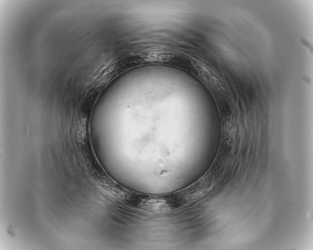 X0000093380554200710251219