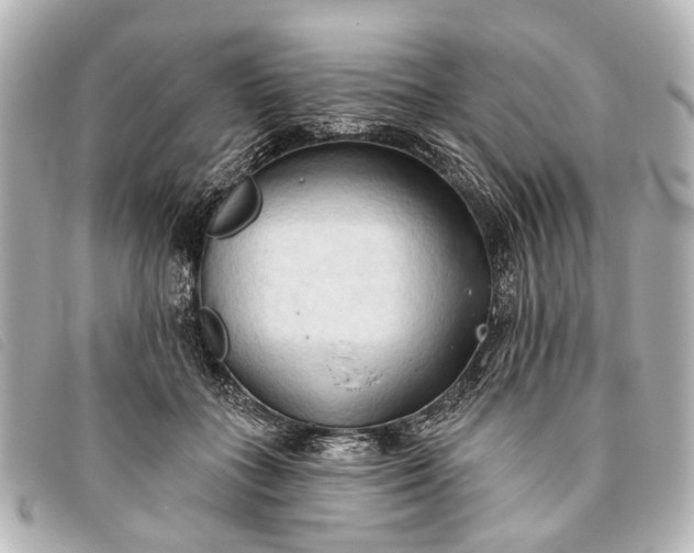 X0000093380555200710251219