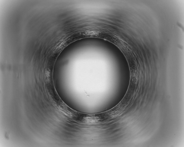 X0000093380556200710251219